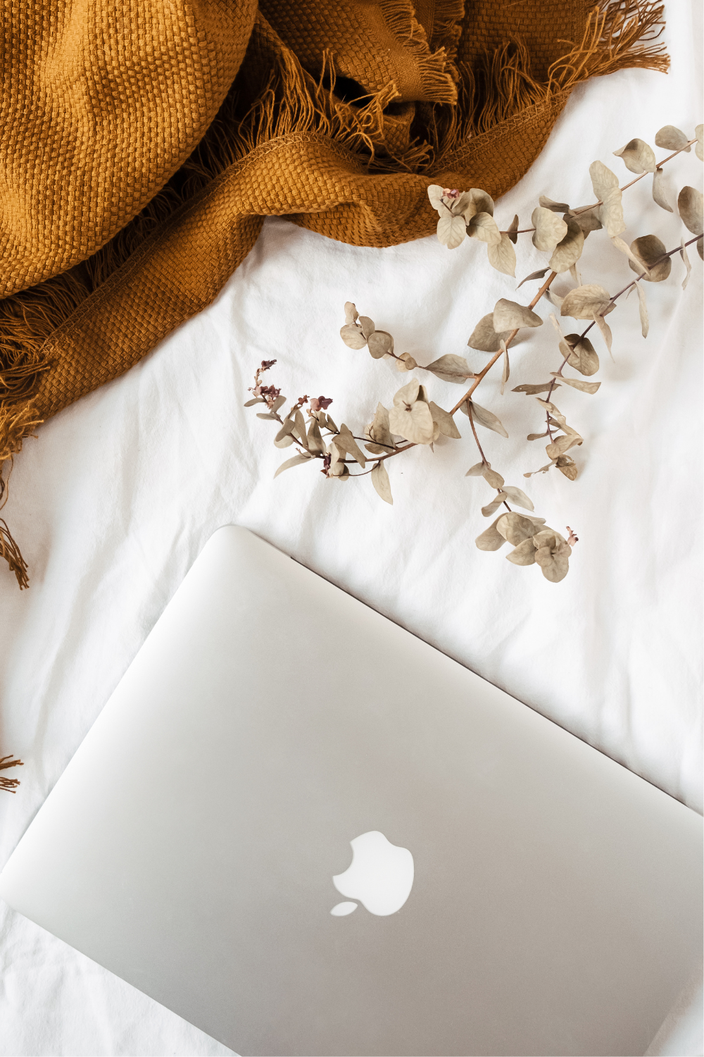 A macbook and eucalyptus stem