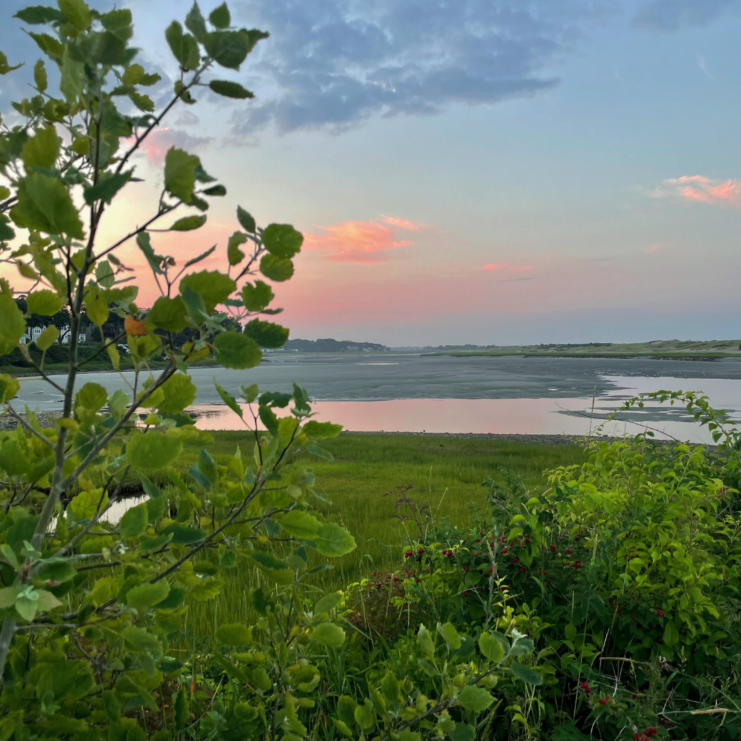 sunrise over the east coast ocean and marsh land - Rise Copy Co. Copywriting and Graphic Design